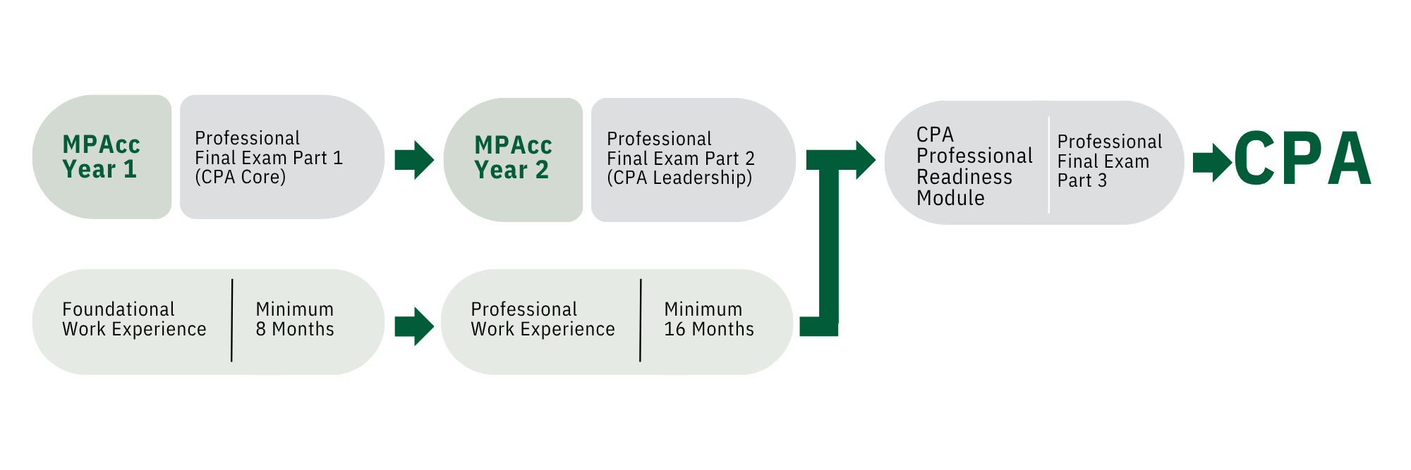 Visual breakdown of school and work journey to reaching CPA designation